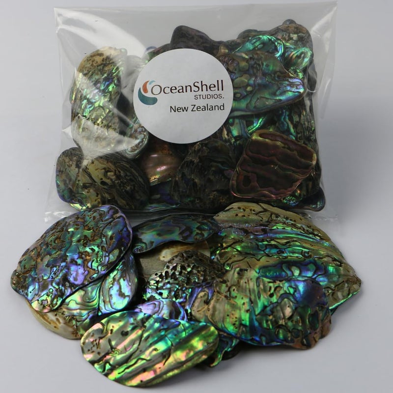 Ocean Shell Studios. Abalone (PÄua) Shell Pieces-7.05oz Pack-for Crafts, Jewelry Making, Resin Art, Inlay, Home Decorations, Fishtank Supplies, DIY Projects - Satin, Medium Medium Size 1"- 1.58" 7.05oz (200grams) - Image 1